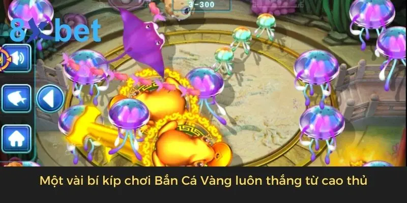 Cóc vàng xuất hiện giữa đàn sứa tím và cá đuối trong phòng bắn cá vàng mức 3-300
