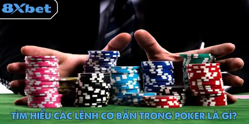 Người chơi đẩy nhiều chồng chip ra giữa bàn, minh họa các lệnh cơ bản khi tìm hiểu poker là gì